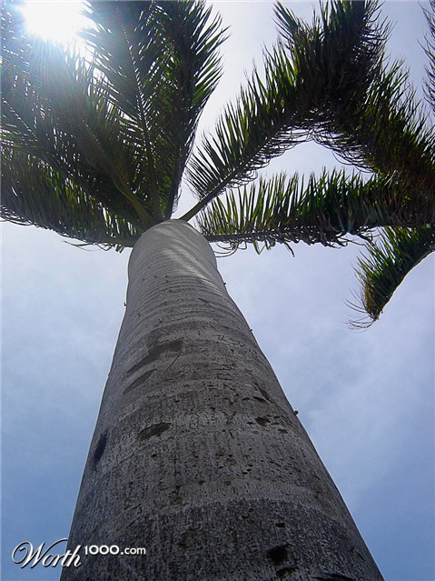 Photography by erguille