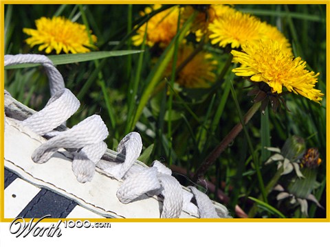 Photography by stever1234