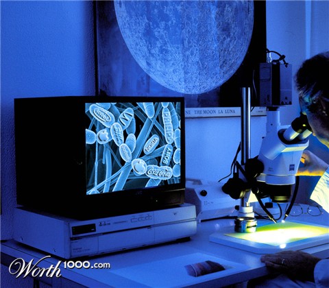 Photoshop Design by Robbyfromitaly