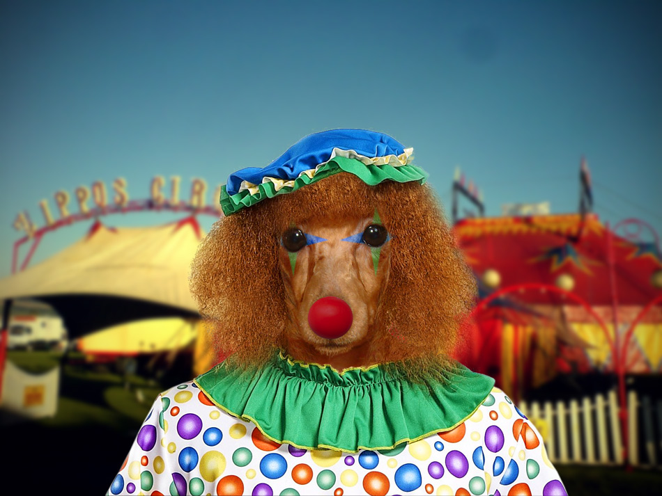 Photoshop Design by snakebit for DesignCrowd (Community Contests) | Design #8940593