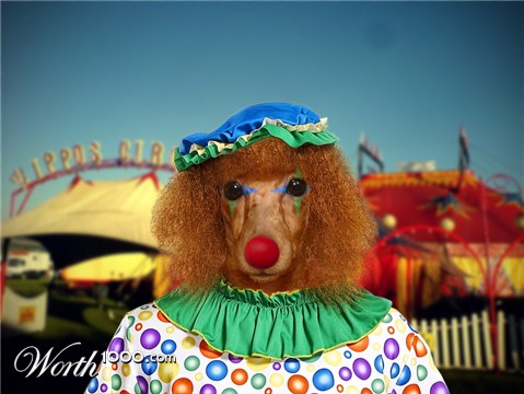 Photoshop Design by snakebit