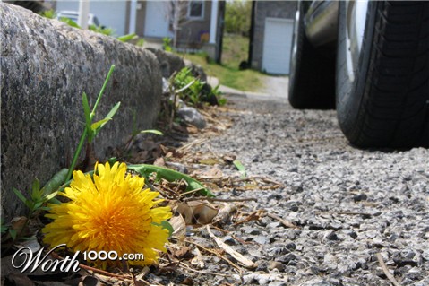 Photography by stever1234