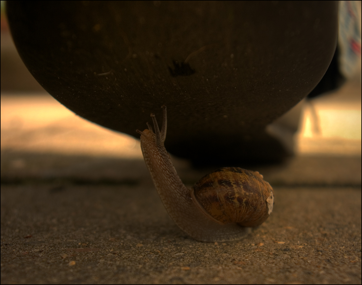 Photography by paulf1970 for DesignCrowd (Community Contests) | Design #8937704