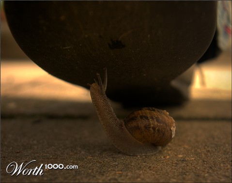 Photography by paulf1970