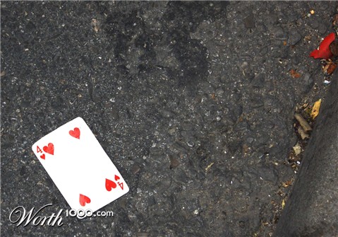 Photography by miriamsc