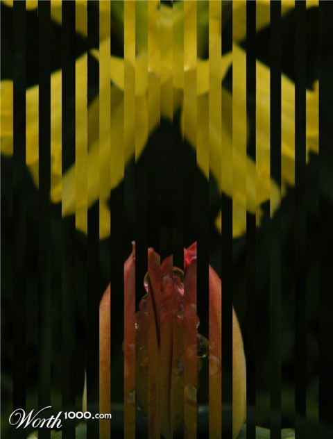 Photography by spincast1123