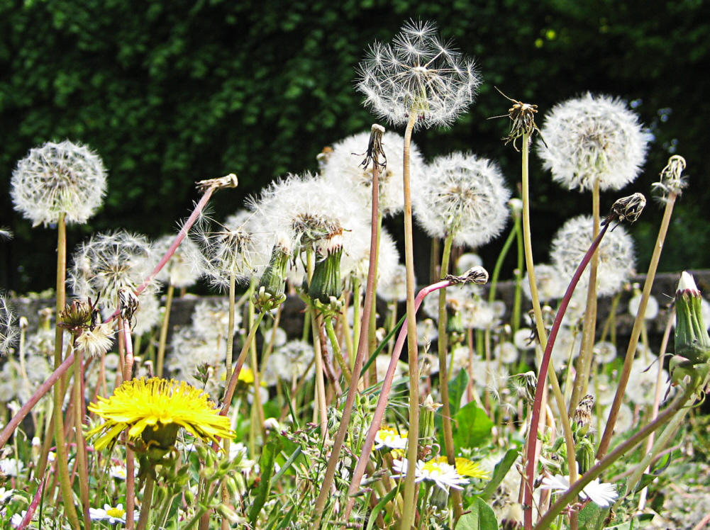 Photography by brakwaater for DesignCrowd (Community Contests) | Design #8937681