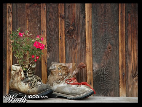 Photography by toscio