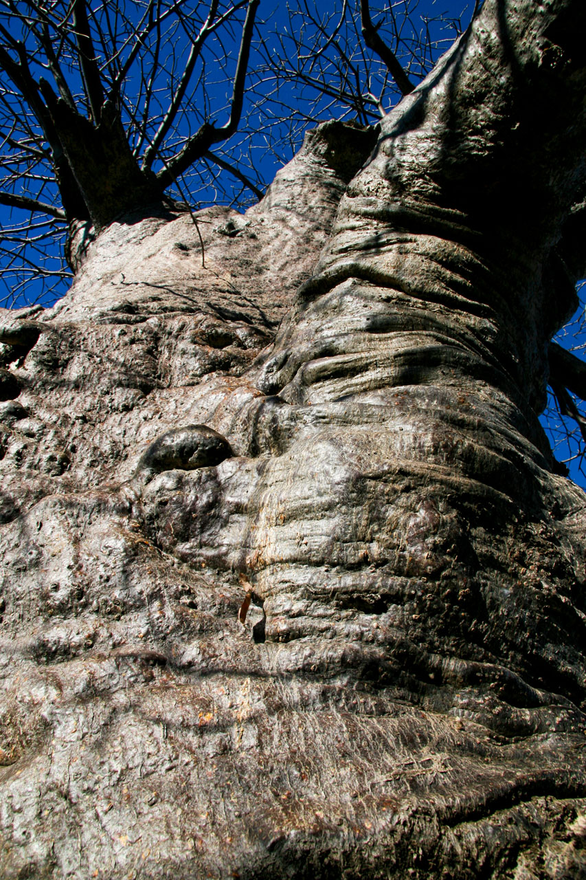 Photography by Boerboel for DesignCrowd (Community Contests) | Design #8937866