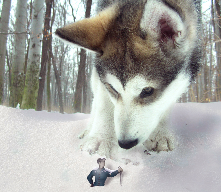 Photoshop Design by Wurmeh for DesignCrowd (Community Contests) | Design #8941491