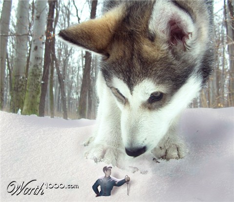 Photoshop Design by Wurmeh