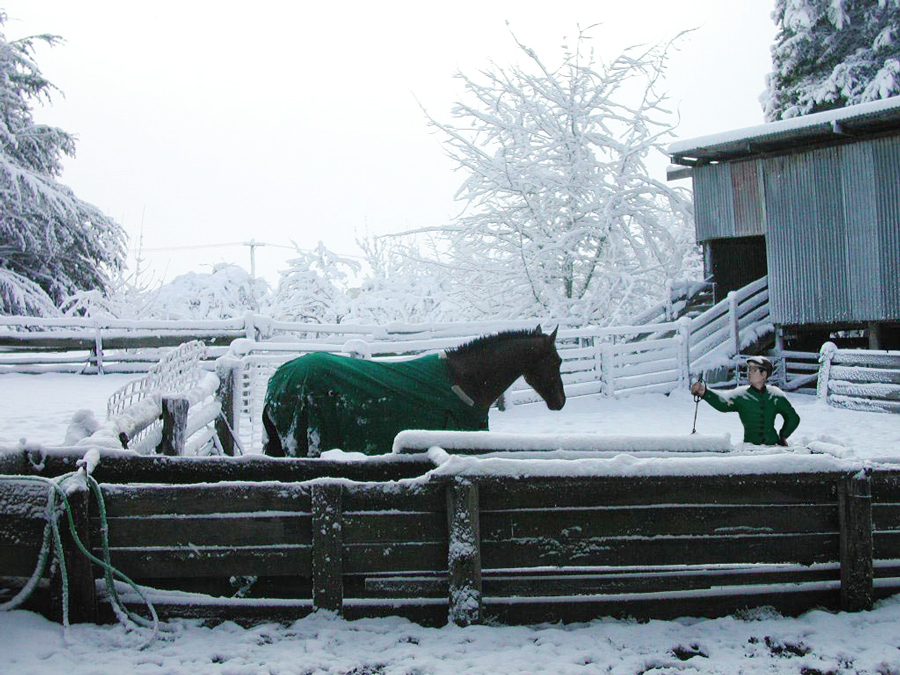 Design Photoshop par cassanhorse pour DesignCrowd (Community Contests) | Design #8941508