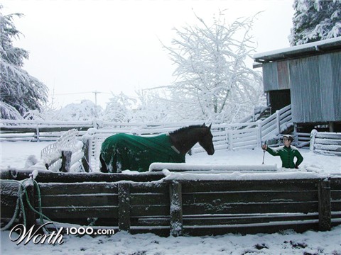 Photoshop Design by cassanhorse