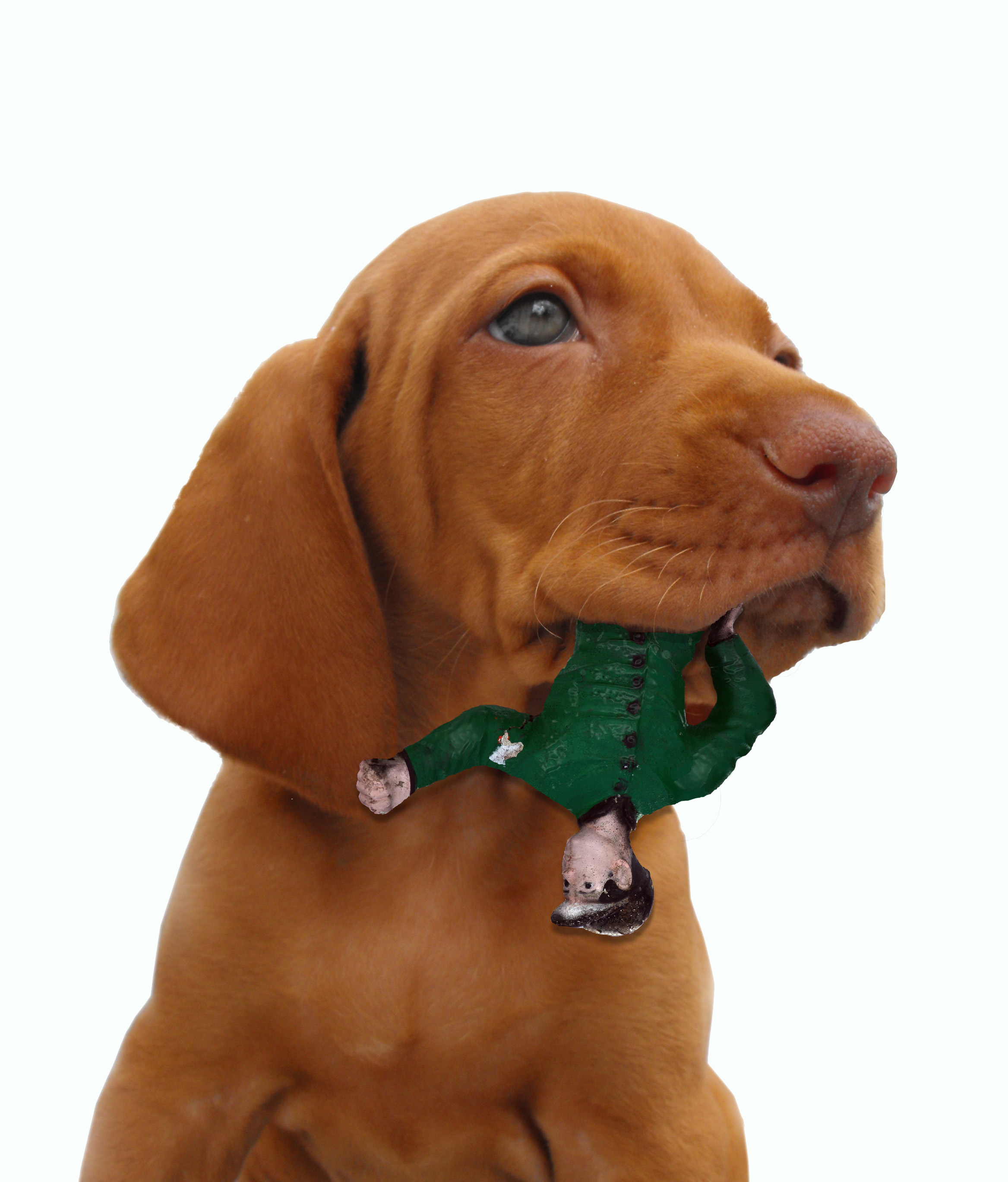 Photoshop Design by lushes for DesignCrowd (Community Contests) | Design #8941486