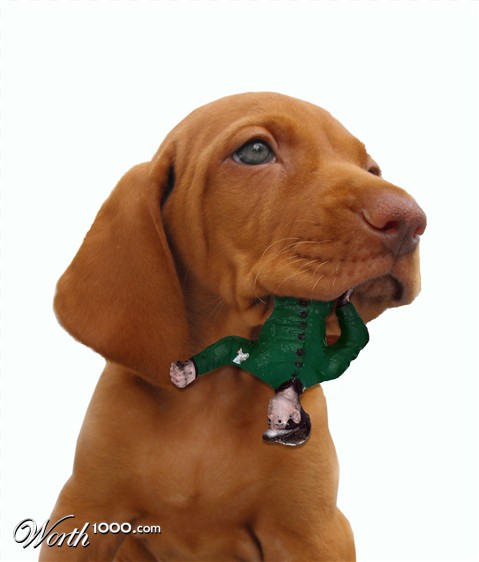 Photoshop Design by lushes