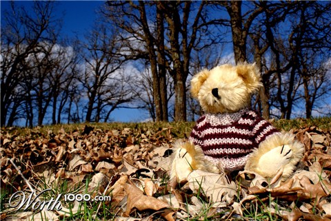 Photography by megred