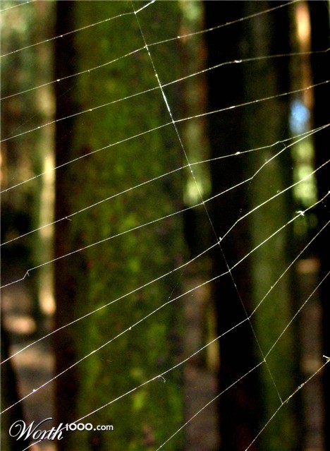 Photography by annaalicja