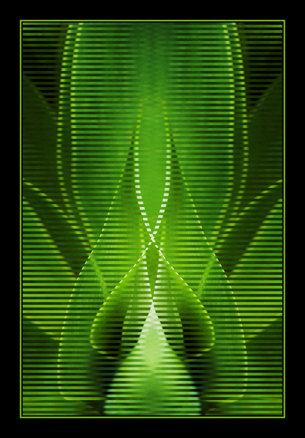 Photography by kimbomac for DesignCrowd (Community Contests) | Design #8936489