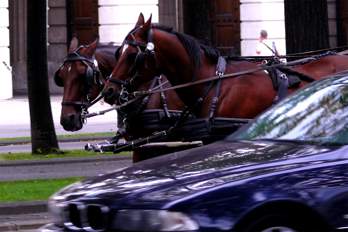 Fotografía por sternindernacht para DesignCrowd (Community Contests) | Diseño #8938262