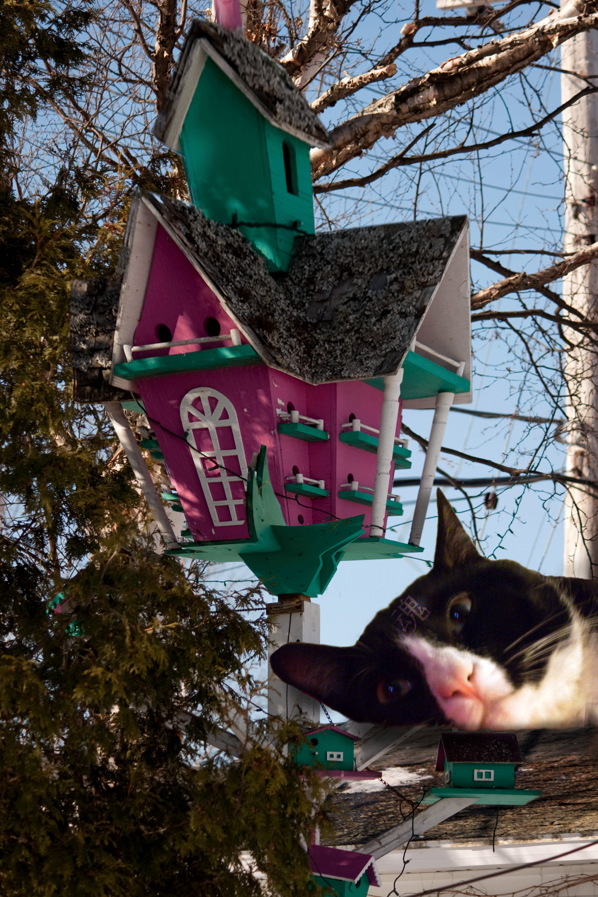 Photoshop Design by moisesit0 for DesignCrowd (Community Contests) | Design #8941419