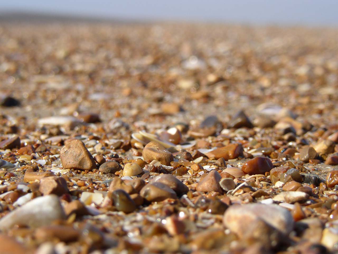 Photography by djgary for DesignCrowd (Community Contests) | Design #8937839