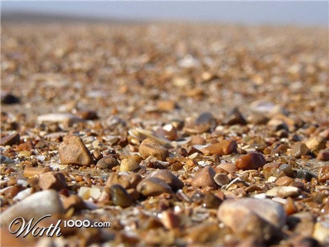 Photography by djgary