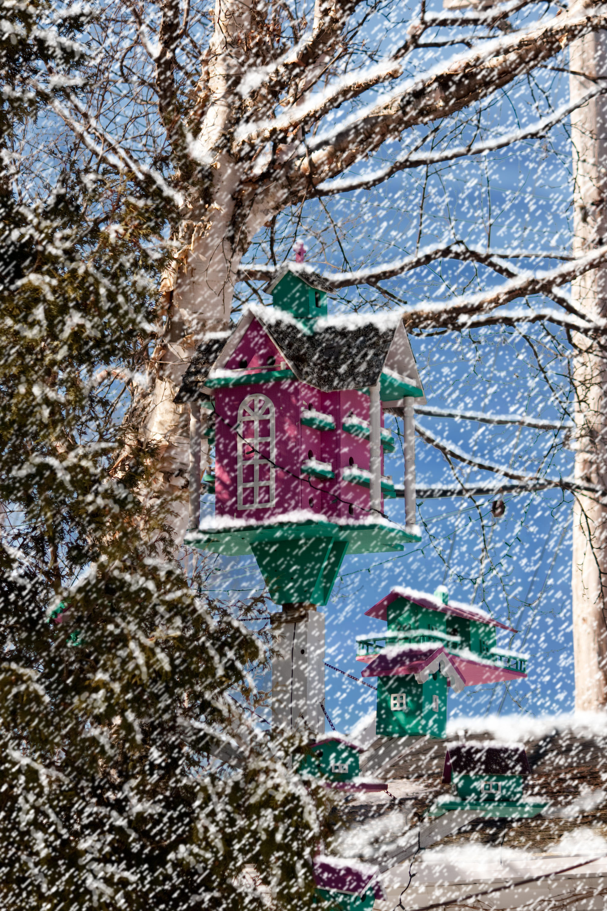 Photoshop Design by Spirit5383 for DesignCrowd (Community Contests) | Design #8941410