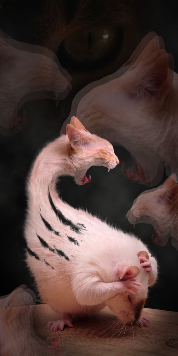 Photoshop Design by Kleston for DesignCrowd (Community Contests) | Design #8937993