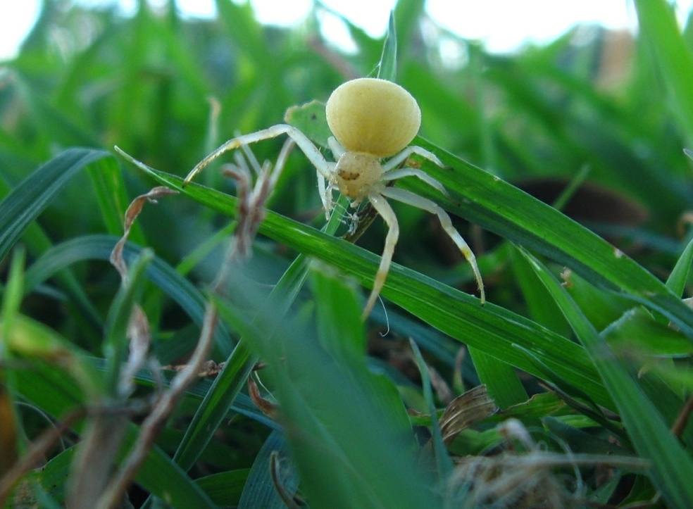 Photography by darkbhudda for DesignCrowd (Community Contests) | Design #8937968