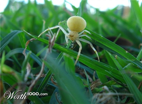 Photography by darkbhudda