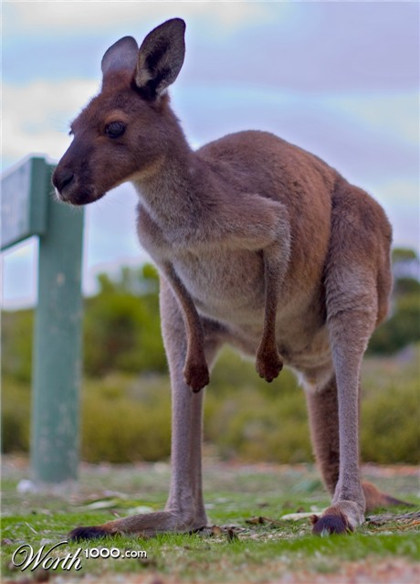 Photography by Iamnotworthy