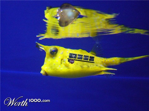 Photoshop Design by npearson2009