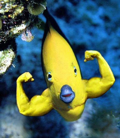 Design Photoshop par Takes2Hands2 pour DesignCrowd (Community Contests) | Design #8938765