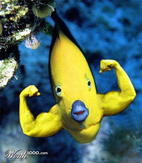 Photoshop Design by Takes2Hands2