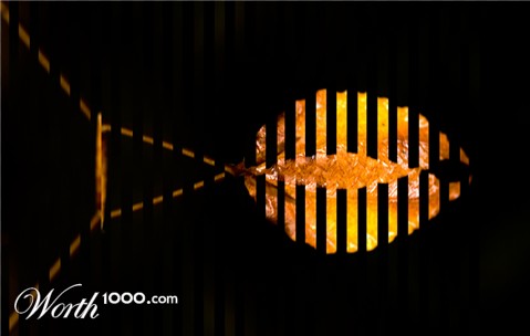 Photography by suram8456