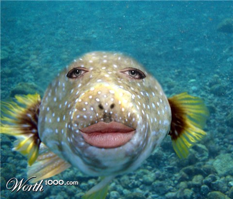 Photoshop Design by Naeuio