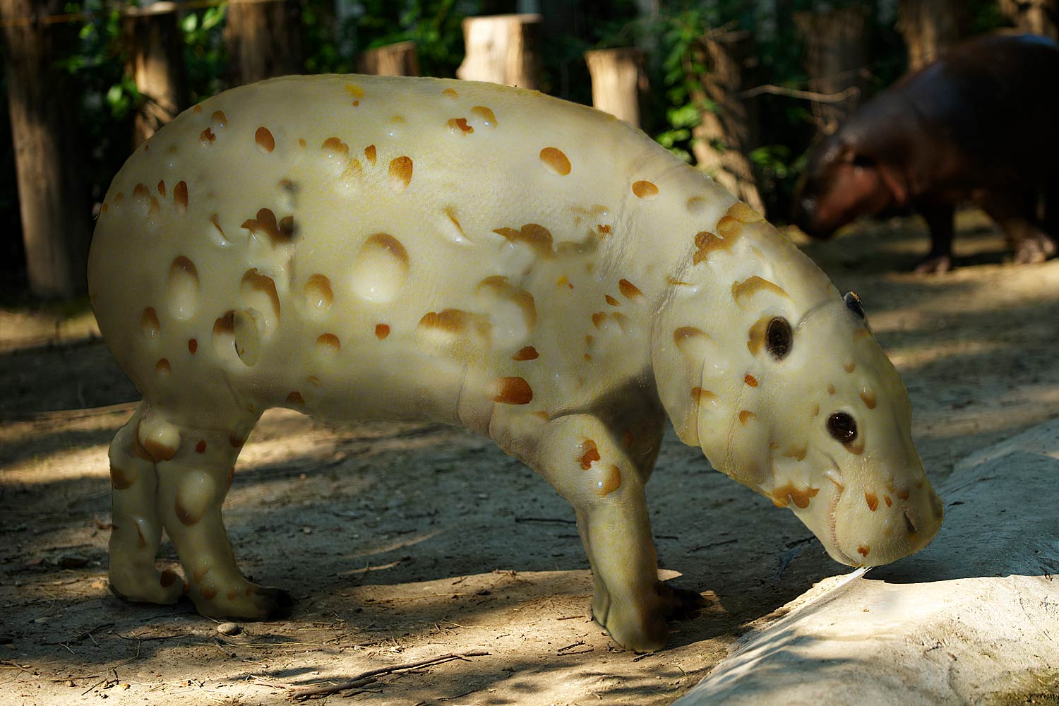 Photoshop Design by Onepixel for DesignCrowd (Community Contests) | Design #8936789