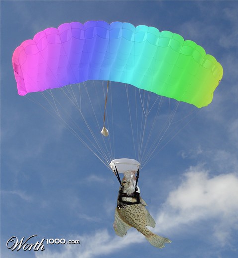 Photoshop Design by bbeckalu