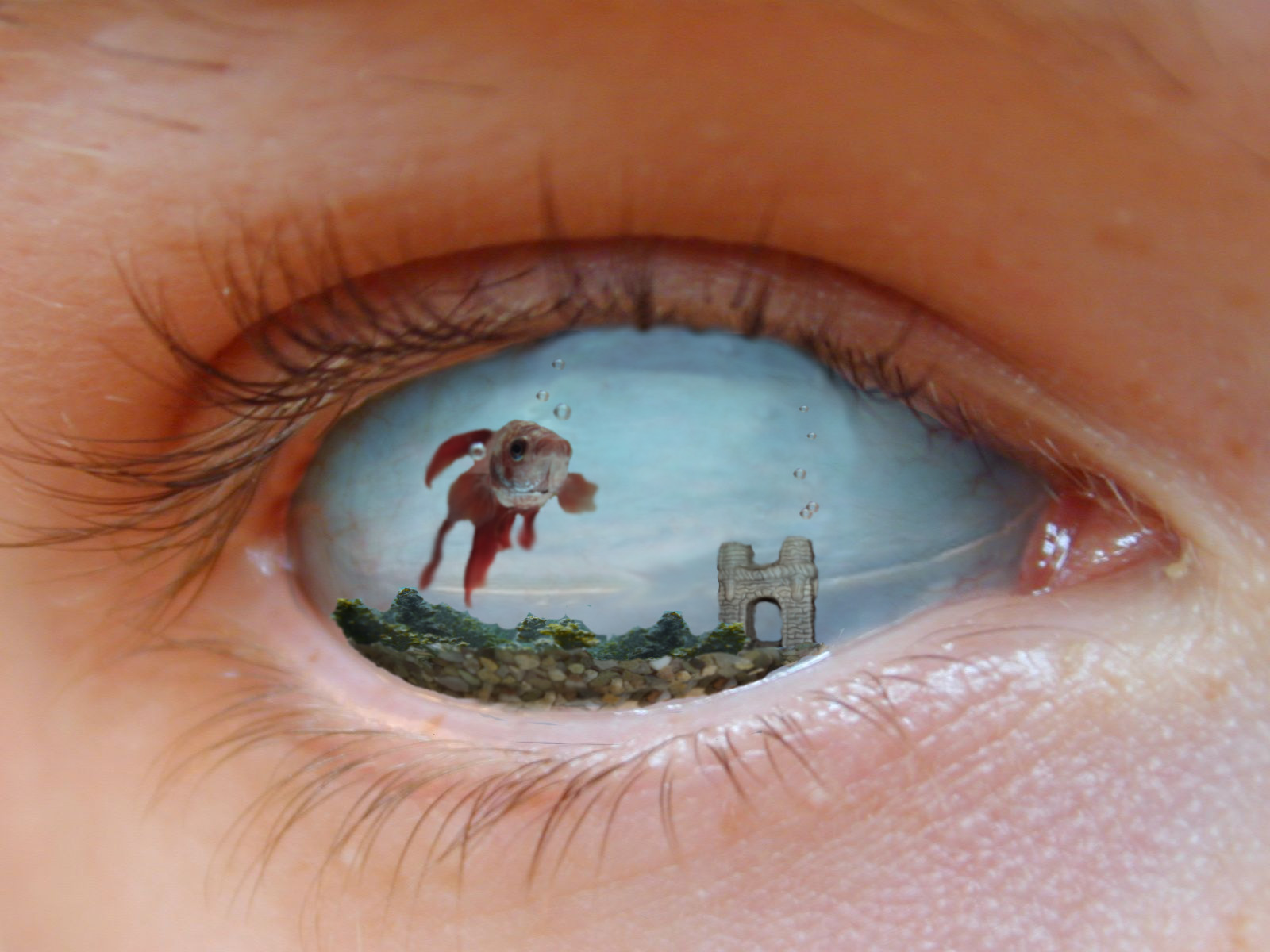 Design Photoshop par tubloko pour DesignCrowd (Community Contests) | Design #8938785