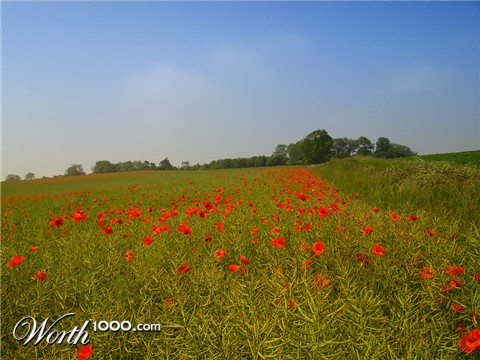 Photography by VICOZ1