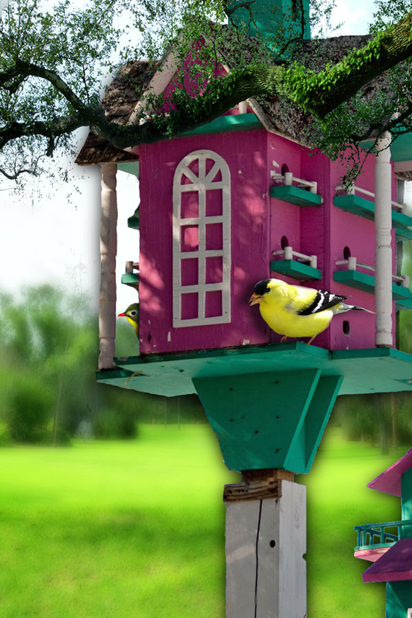 Diseño de Photoshop por janefrog para DesignCrowd (Community Contests) | Diseño #8941474