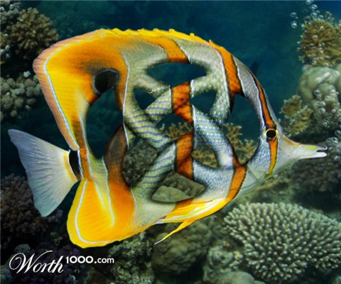 Photoshop Design by LunarRose