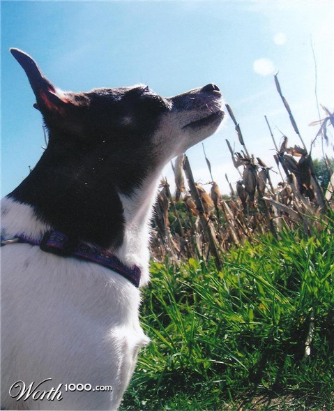 Photography by jkpjlp