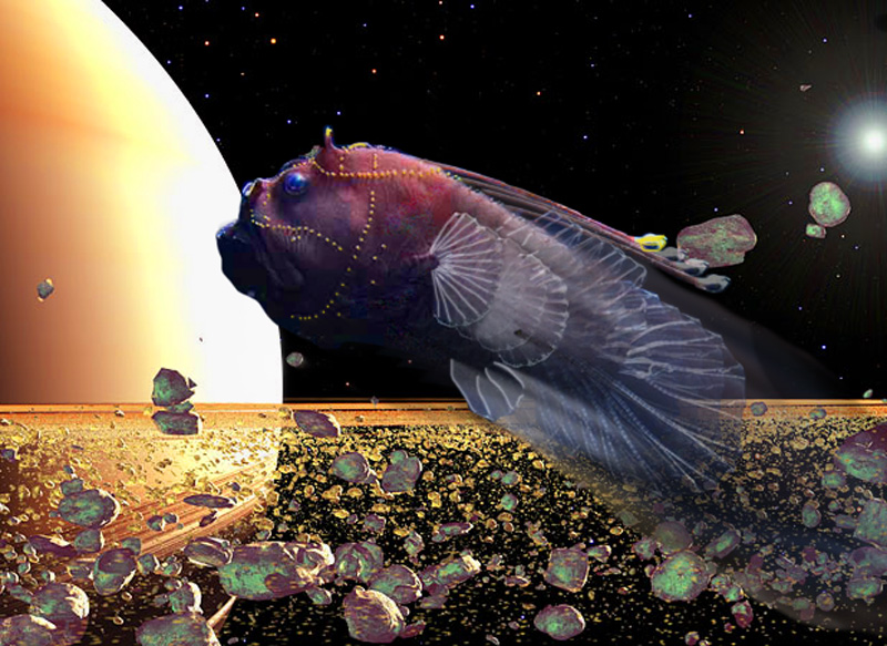 Diseño de Photoshop por DeathMerchant para DesignCrowd (Community Contests) | Diseño #8938826