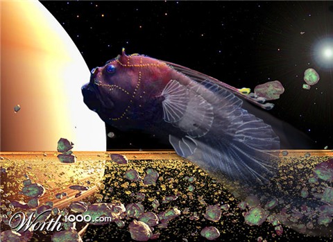 Photoshop Design by DeathMerchant