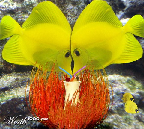 Photoshop Design by Ydiot