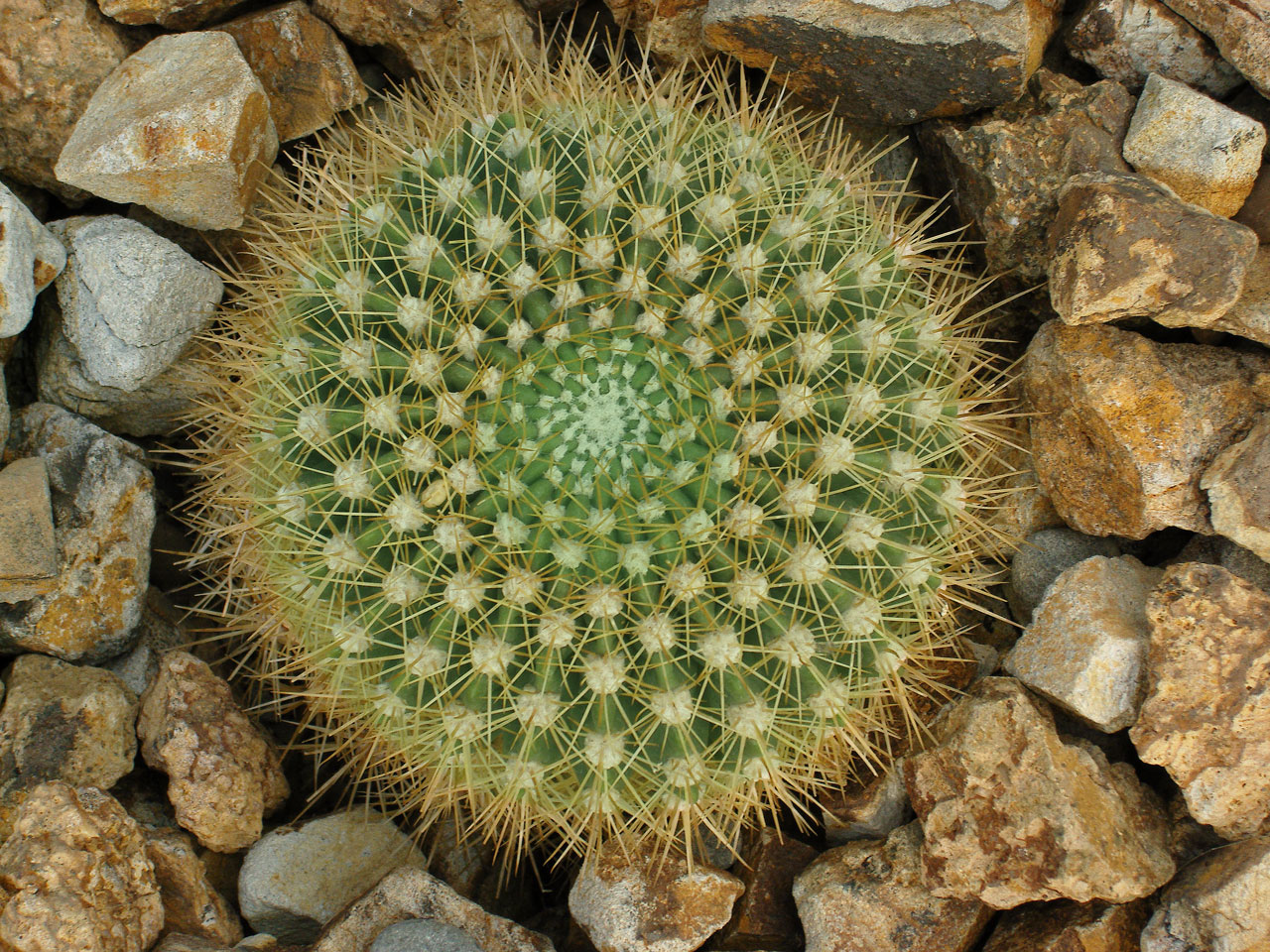 Photographie par johnnyx123 pour DesignCrowd (Community Contests) | Design #8937974