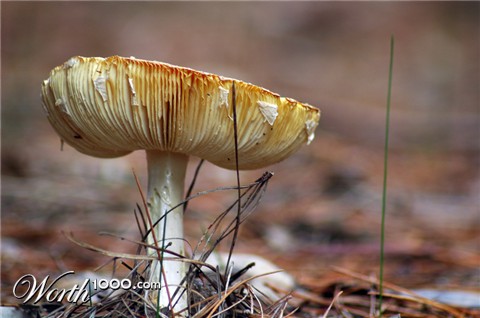 Photography by cassanhorse