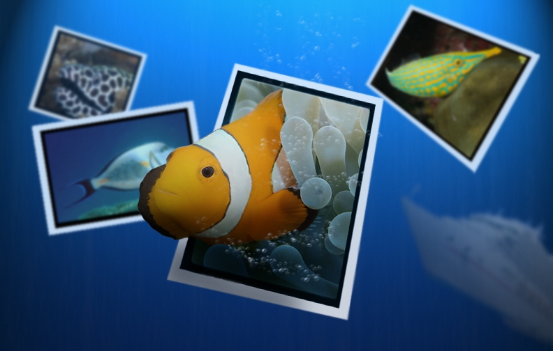 Diseño de Photoshop por firest para DesignCrowd (Community Contests) | Diseño #8938926