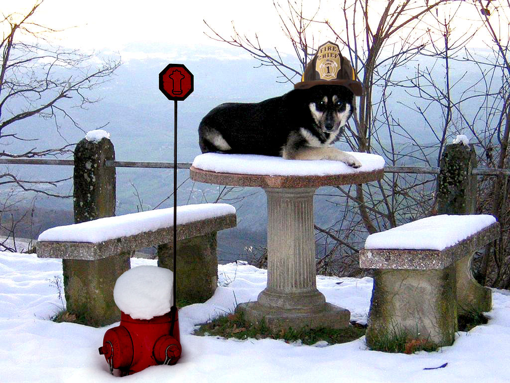 Photoshop Design by Robbyfromitaly for DesignCrowd (Community Contests) | Design #8939055